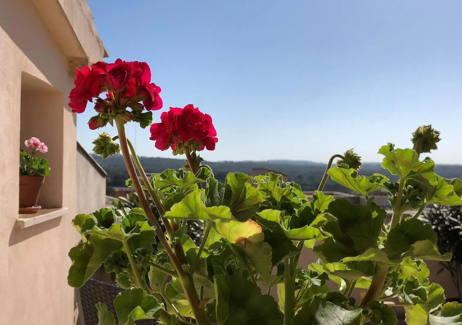 Vista De La Vila - Turismo De Interior. Bed & Breakfast Llubi